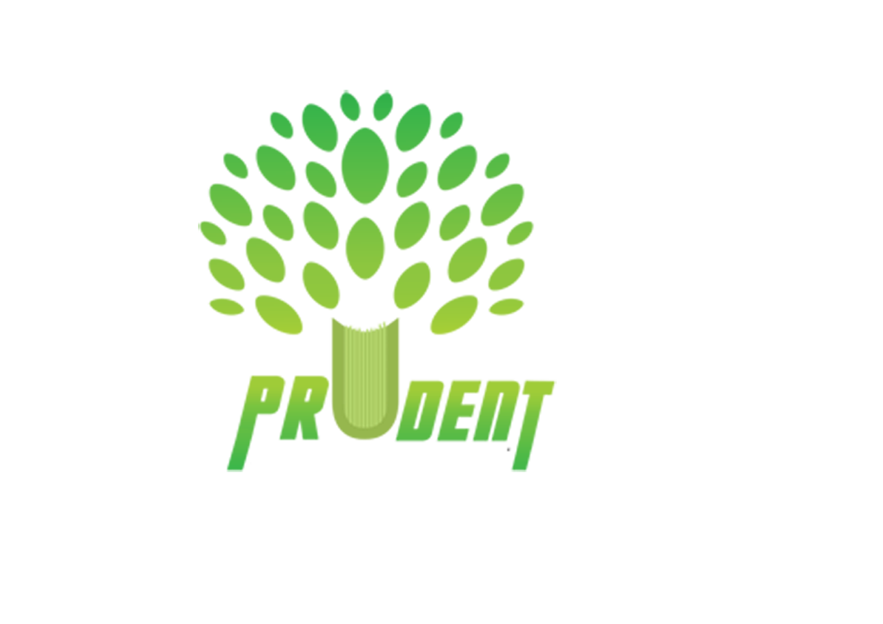 Prudent Academy - CA, CMA institute in Aluva