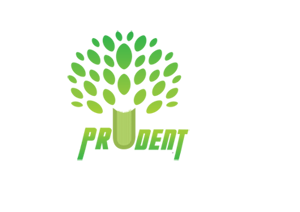 Prudent Academy - CA, CMA institute in Aluva